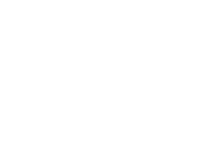 Digital Brolly logo